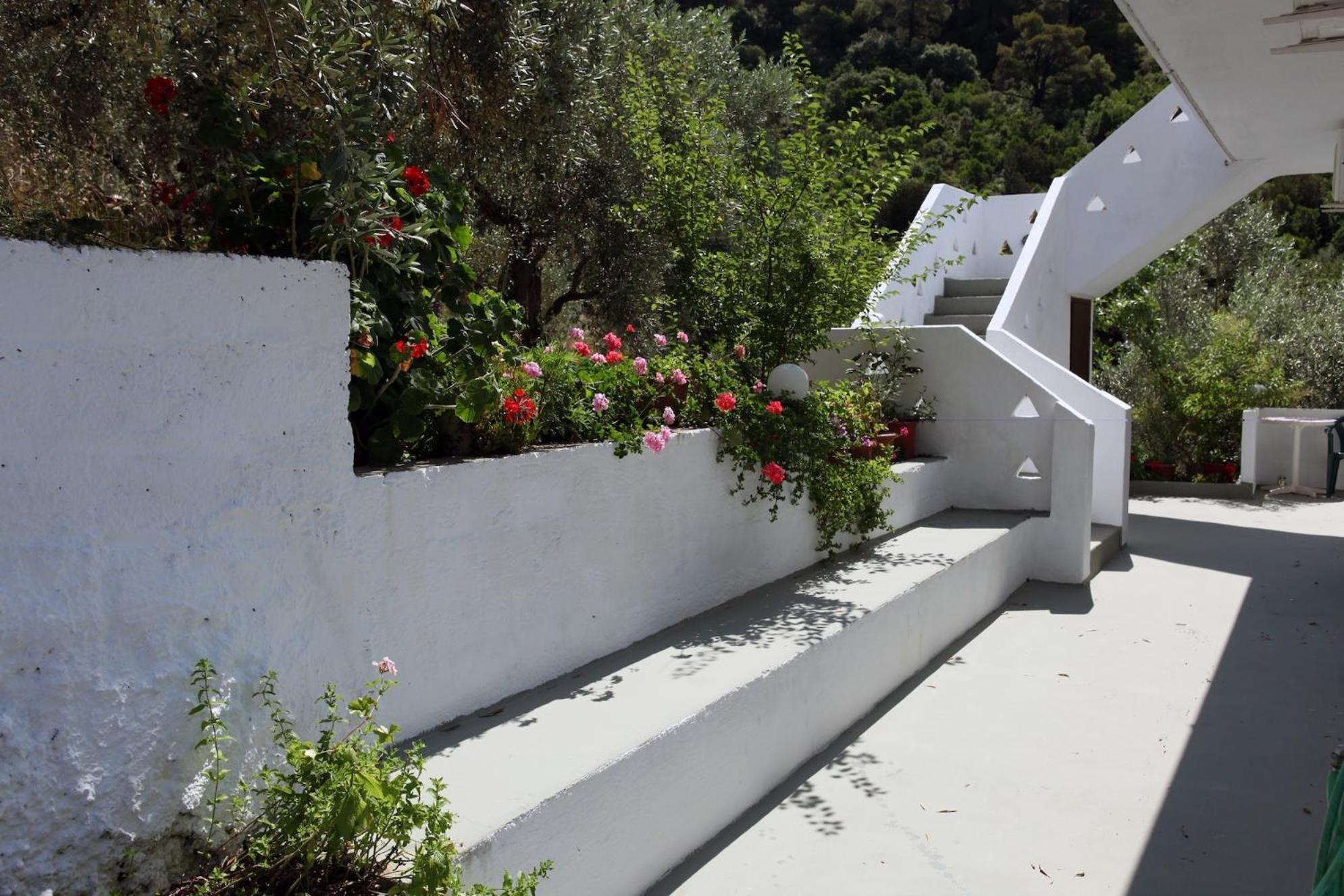 Skalopati Studios & Villa Panormos  Oda fotoğraf