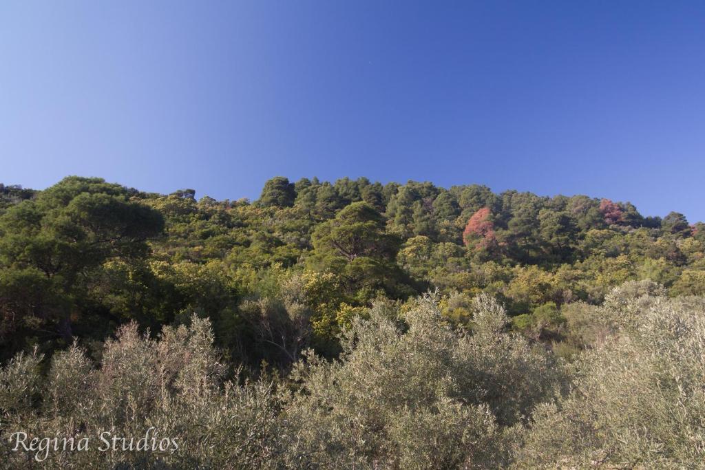 Skalopati Studios & Villa Panormos  Dış mekan fotoğraf
