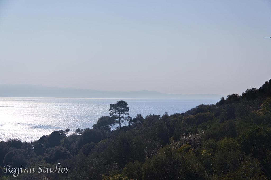 Skalopati Studios & Villa Panormos  Dış mekan fotoğraf